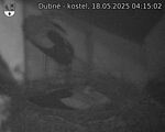 Capi_Dubne_20250518_041502.jpg