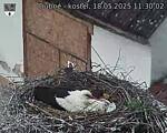 Capi_Dubne_20250518_113002.jpg