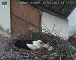 Capi_Dubne_20250518_115503.jpg
