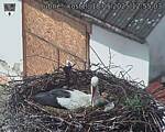 Capi_Dubne_20250518_125503.jpg