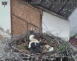 Capi_Dubne_20250518_140503.jpg