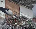 Capi_Dubne_20250518_143003.jpg