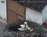 Capi_Dubne_20250518_170002.jpg