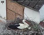 Capi_Dubne_20250518_173003.jpg
