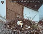 Capi_Dubne_20250518_203003.jpg