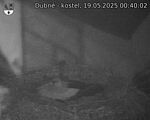 Capi_Dubne_20250519_004002.jpg
