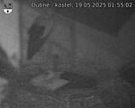 Capi_Dubne_20250519_015502.jpg
