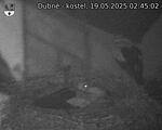 Capi_Dubne_20250519_024502.jpg