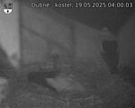 Capi_Dubne_20250519_040003.jpg