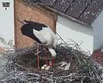 Capi_Dubne_20250519_115002.jpg