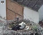 Capi_Dubne_20250519_161503.jpg
