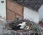 Capi_Dubne_20250519_163003.jpg