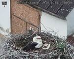 Capi_Dubne_20250519_170004.jpg