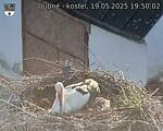 Capi_Dubne_20250519_195002.jpg