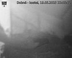 Capi_Dubne_20250519_220502.jpg