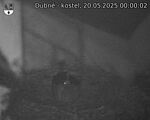 Capi_Dubne_20250520_000002.jpg