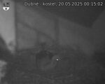 Capi_Dubne_20250520_001502.jpg