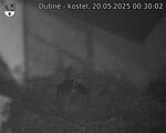 Capi_Dubne_20250520_003002.jpg