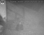 Capi_Dubne_20250520_011002.jpg