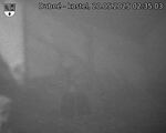 Capi_Dubne_20250520_023503.jpg