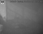 Capi_Dubne_20250520_031502.jpg