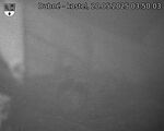 Capi_Dubne_20250520_035003.jpg