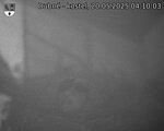 Capi_Dubne_20250520_041003.jpg