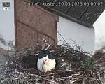 Capi_Dubne_20250520_050002.jpg
