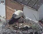 Capi_Dubne_20250520_144003.jpg