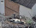 Capi_Dubne_20250520_163503.jpg