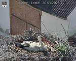Capi_Dubne_20250520_170503.jpg