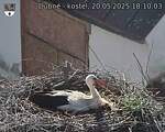 Capi_Dubne_20250520_181003.jpg