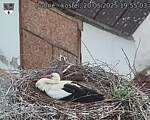 Capi_Dubne_20250520_195503.jpg