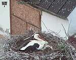 Capi_Dubne_20250520_203003.jpg