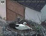 Capi_Dubne_20250520_205502.jpg