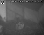 Capi_Dubne_20250520_212502.jpg