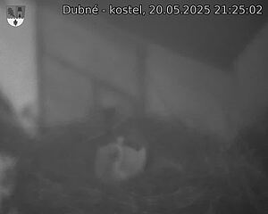 Capi_Dubne_20250520_212502.jpg (1350 x 1080)