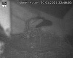 Capi_Dubne_20250520_224003.jpg