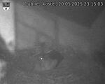 Capi_Dubne_20250520_231503.jpg