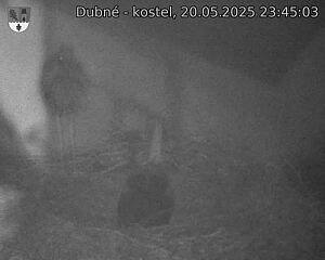 Capi_Dubne_20250520_234503.jpg (1350 x 1080)