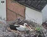 Capi_Dubne_20250521_180504.jpg