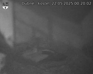 Capi_Dubne_20250522_002002.jpg (1350 x 1080)