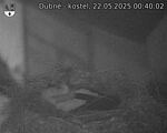 Capi_Dubne_20250522_004002.jpg
