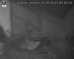 Capi_Dubne_20250522_020502.jpg