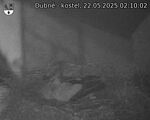 Capi_Dubne_20250522_021003.jpg