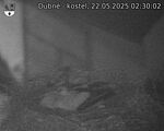 Capi_Dubne_20250522_023002.jpg