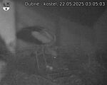 Capi_Dubne_20250522_030503.jpg