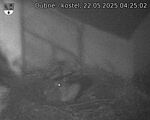 Capi_Dubne_20250522_042502.jpg