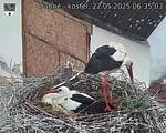 Capi_Dubne_20250522_063503.jpg