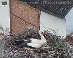 Capi_Dubne_20250522_080503.jpg